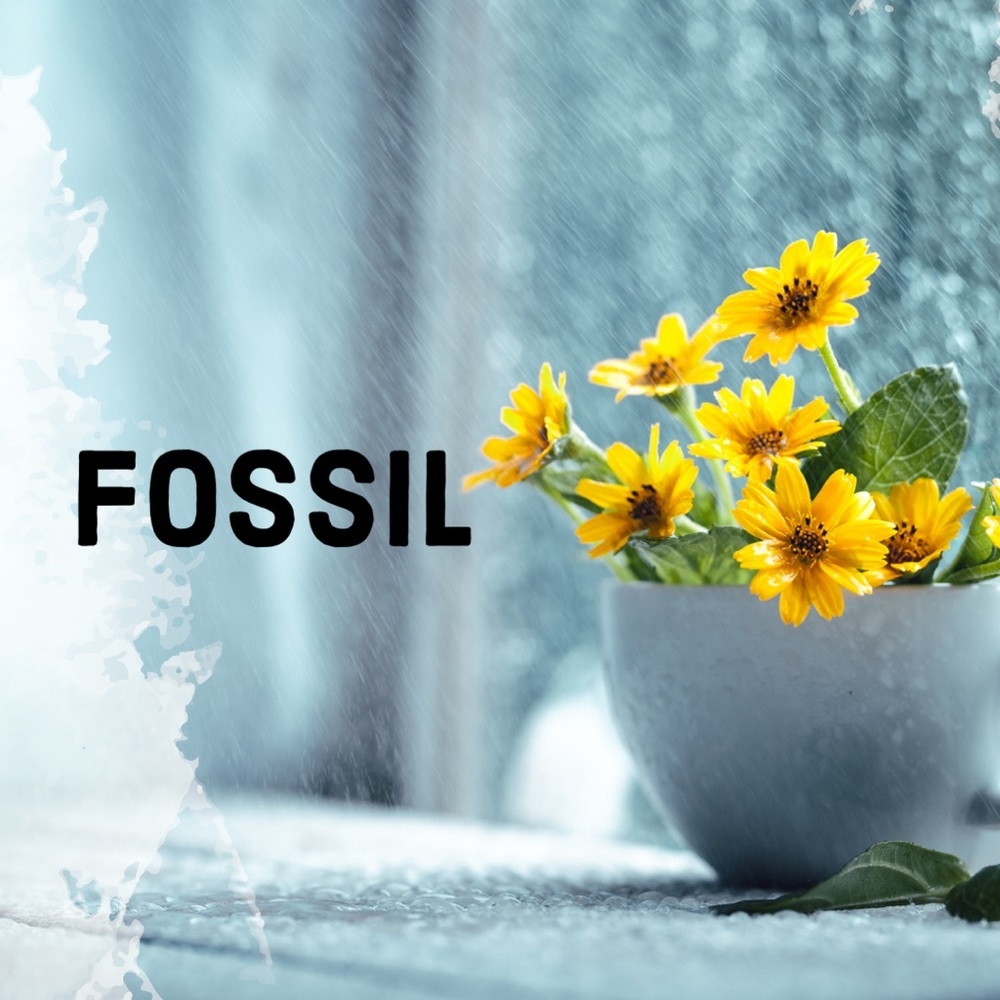 ALL REASONABLE OFFERS WELCOME!